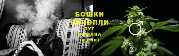 дурь Белоозёрский