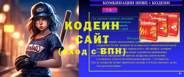 шишки Жердевка