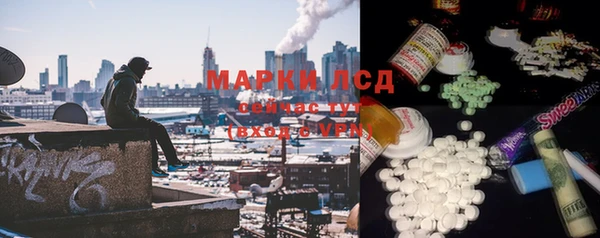 сатива Белокуриха
