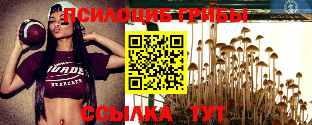 Псилоцибиновые грибы прущие грибы  Вход с VPN  Псилоцибиновые грибы мухоморы  Кузнецк 