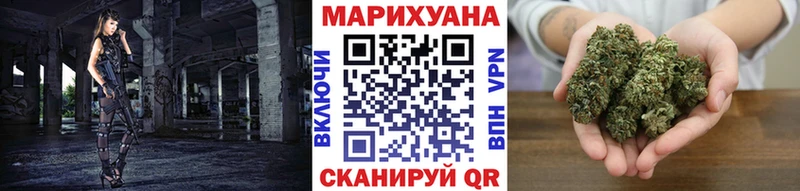 где купить наркоту  Кузнецк  Конопля ГИДРОПОН 